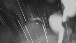 Horní stanice Lanové dráhy