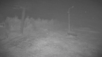 Snímek    25.10.2025 v 23:50