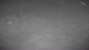 Snímek    3.11.2025 v 00:25