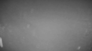 Snímek 8.11.2025 v 20:20