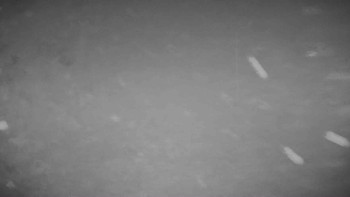 Snímek 8.11.2025 v 21:25