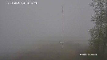 Snímek 15.11.2025 v 13:15