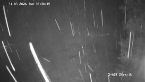 Město Žilina - Vrch Straník - 31.3.2026 v 04:30 Město Žilina - Vrch Straník - 31.3.2026 v 04:30