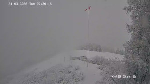 Město Žilina - Vrch Straník - 31.3.2026 v 08:30 Město Žilina - Vrch Straník - 31.3.2026 v 08:30