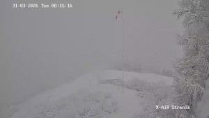 Město Žilina - Vrch Straník - 31.3.2026 v 09:15 Město Žilina - Vrch Straník - 31.3.2026 v 09:15