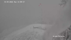 Město Žilina - Vrch Straník - 31.3.2026 v 12:00 Město Žilina - Vrch Straník - 31.3.2026 v 12:00