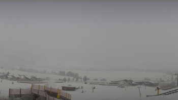 Snímek 20.11.2025 v 12:45