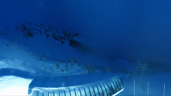 Alm6er horní stanice, Dachstein