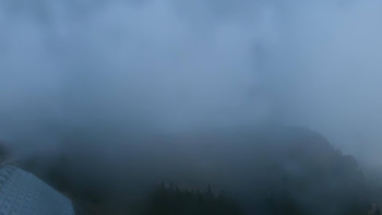 Snímek    3.11.2025 v 00:32