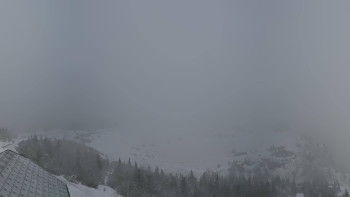 Snímek    3.11.2025 v 14:15