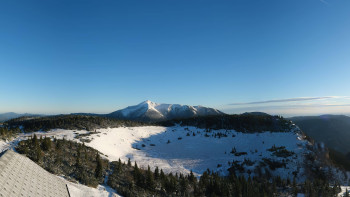 Snímek    4.11.2025 v 07:45