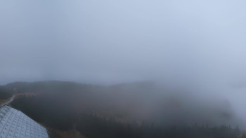 Snímek 17.11.2025 v 08:02