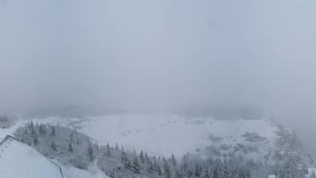 Snímek 17.11.2025 v 12:32