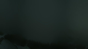 Snímek 18.11.2025 v 03:32