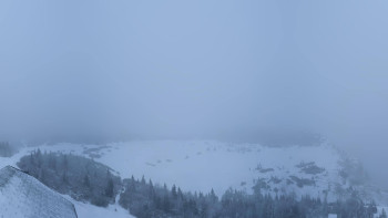 Snímek 21.11.2025 v 08:15