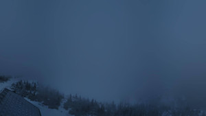 Raxseilbahn - Otto-Schutzhaus - 1.4.2026 v 00:02 Raxseilbahn - Otto-Schutzhaus - 1.4.2026 v 00:02