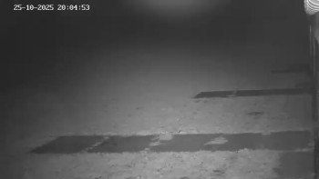 Snímek    25.10.2025 v 21:01