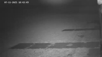 Snímek 7.11.2025 v 19:02