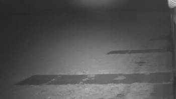 Snímek 8.11.2025 v 00:02