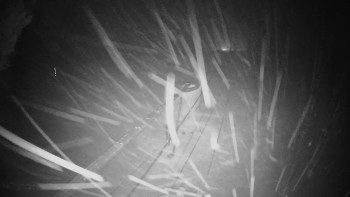 Snímek 16.11.2025 v 03:25