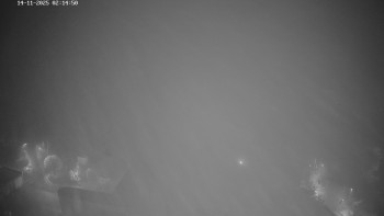 Snímek 14.11.2025 v 02:15