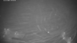 Heliport Nemocnice Znojmo