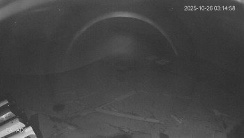 Snímek    26.10.2025 v 03:15