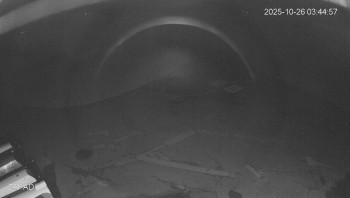 Snímek    26.10.2025 v 03:45