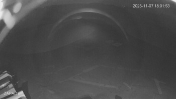 Snímek 7.11.2025 v 18:02