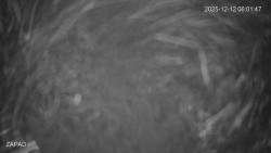 Provozní plocha - západ