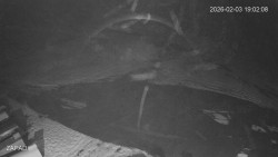 Provozní plocha - západ