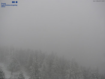 Snímek    28.10.2025 v 14:00