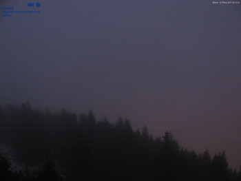 Snímek    29.10.2025 v 06:15