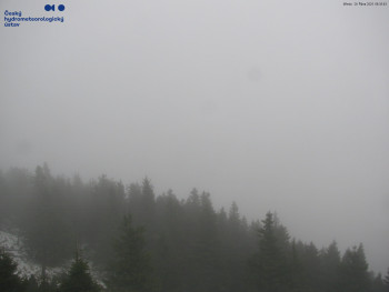 Snímek    29.10.2025 v 08:45