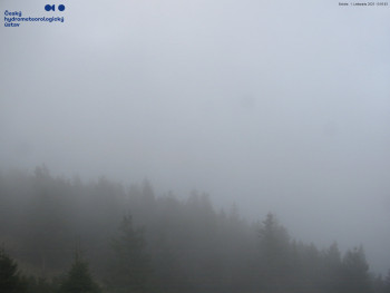 Snímek    1.11.2025 v 14:00