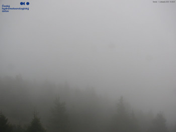 Snímek    1.11.2025 v 15:30