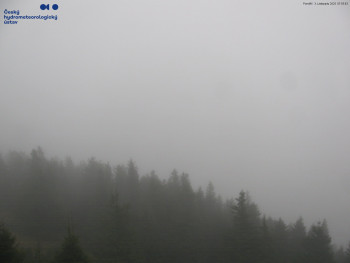 Snímek    3.11.2025 v 08:00