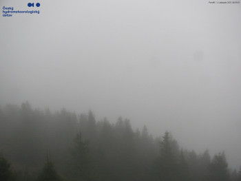 Snímek    3.11.2025 v 09:00