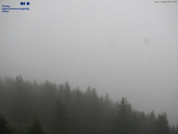 Snímek    3.11.2025 v 11:15