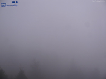 Snímek 7.11.2025 v 06:45