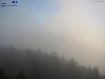 Snímek 7.11.2025 v 07:30