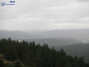 Snímek 8.11.2025 v 13:45