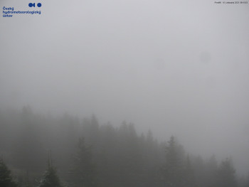 Snímek 10.11.2025 v 08:15