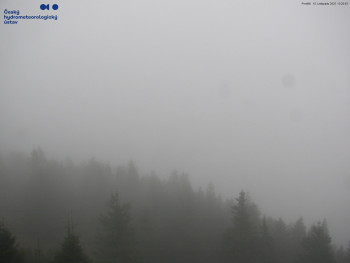 Snímek 10.11.2025 v 13:30