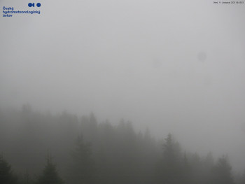 Snímek 11.11.2025 v 08:30