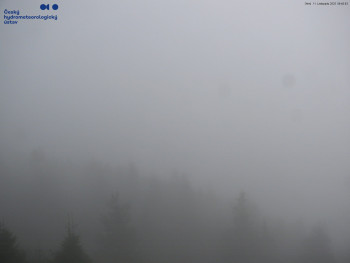 Snímek 11.11.2025 v 09:45