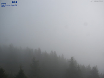 Snímek 11.11.2025 v 10:00