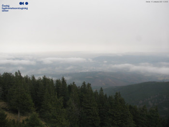 Snímek 15.11.2025 v 12:30