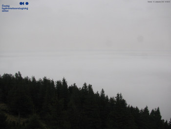 Snímek 15.11.2025 v 15:00