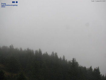 Snímek 17.11.2025 v 11:00